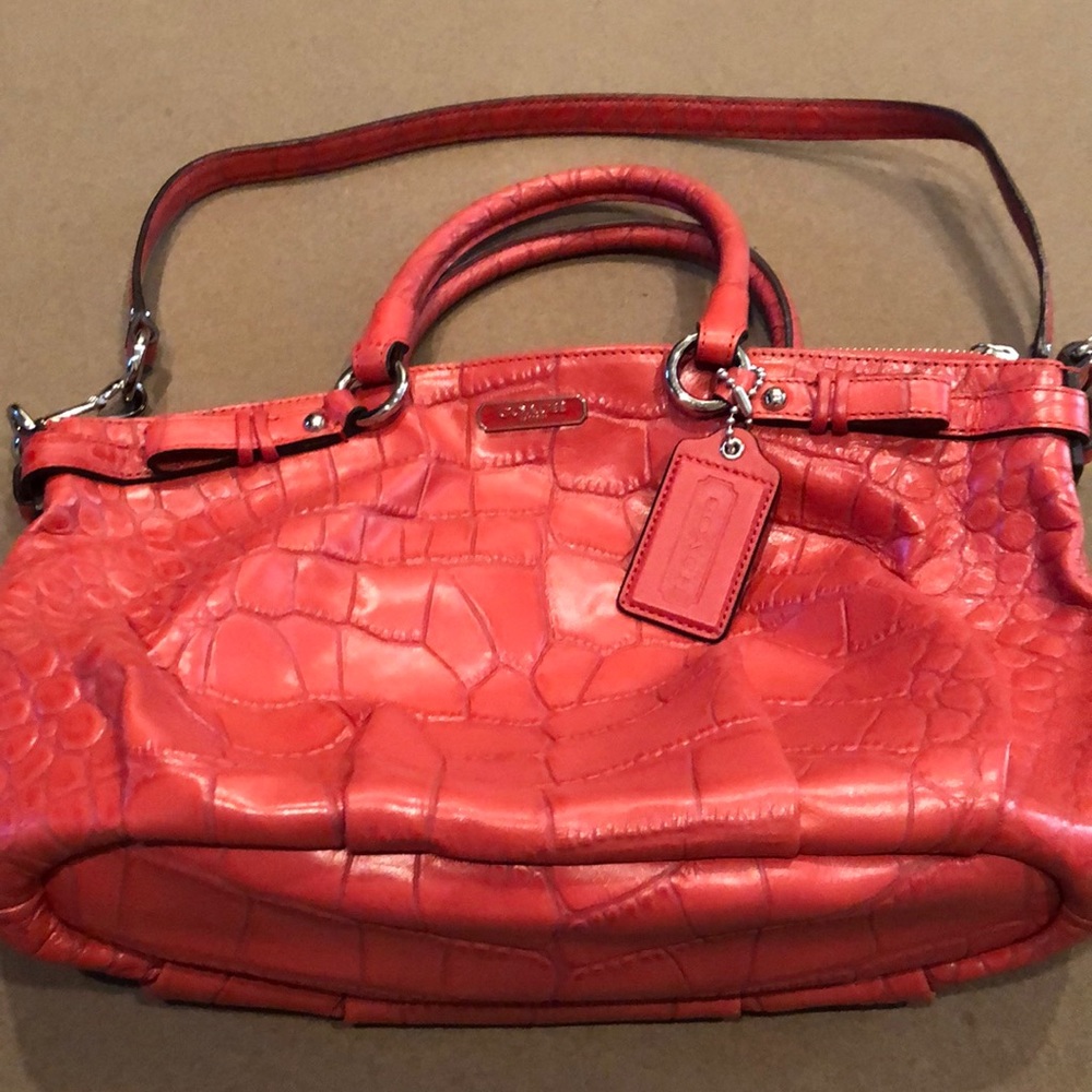 Coach Handbag - Dark Orange- 10 x 14 inches
